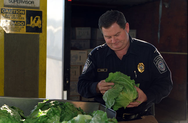 US Customs Agent Inspects Produce