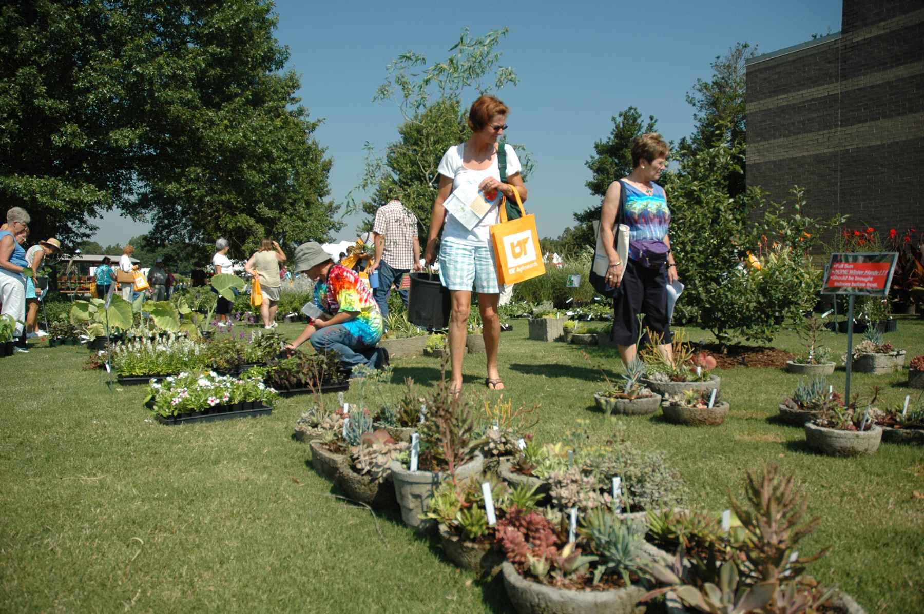 2009 Summer Celebration